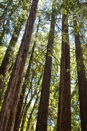 IMG_7999-2