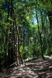 IMG_8005-2