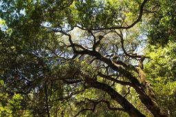 IMG_8012-2