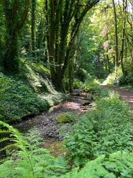 IMG_8015