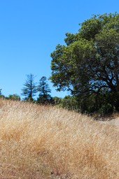 IMG_8026-2