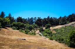 IMG_8028-2