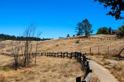 IMG_8030-2