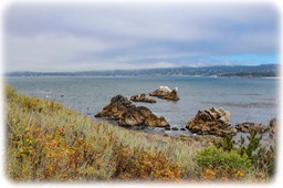 IMG_8049-2