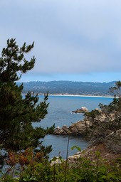 IMG_8064-2