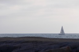 IMG_8068.jpg