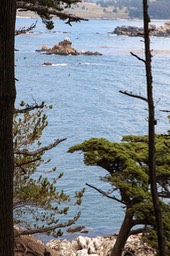 IMG_8073-2