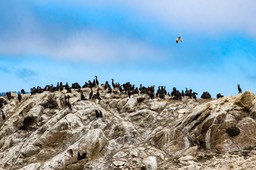 IMG_8078-2