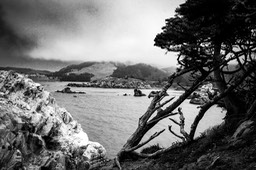 IMG_8082-2