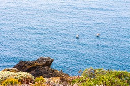 IMG_8114-2