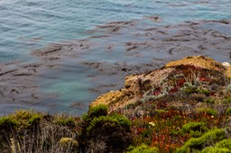 IMG_8126-2