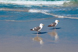 IMG_8188-2