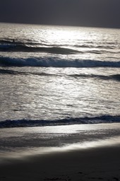 IMG_8195.jpg