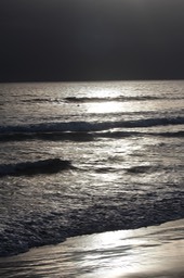 IMG_8198.jpg