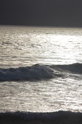 IMG_8204.jpg