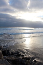 IMG_8209.jpg