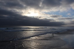 IMG_8211.jpg