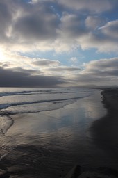 IMG_8213.jpg