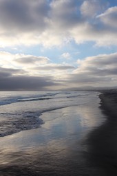 IMG_8214.jpg
