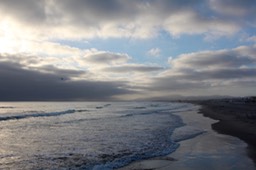 IMG_8215.jpg