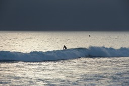 IMG_8216.jpg