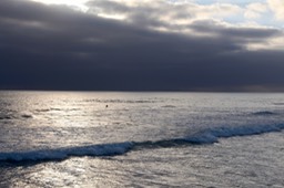 IMG_8219.jpg
