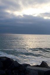 IMG_8238.jpg