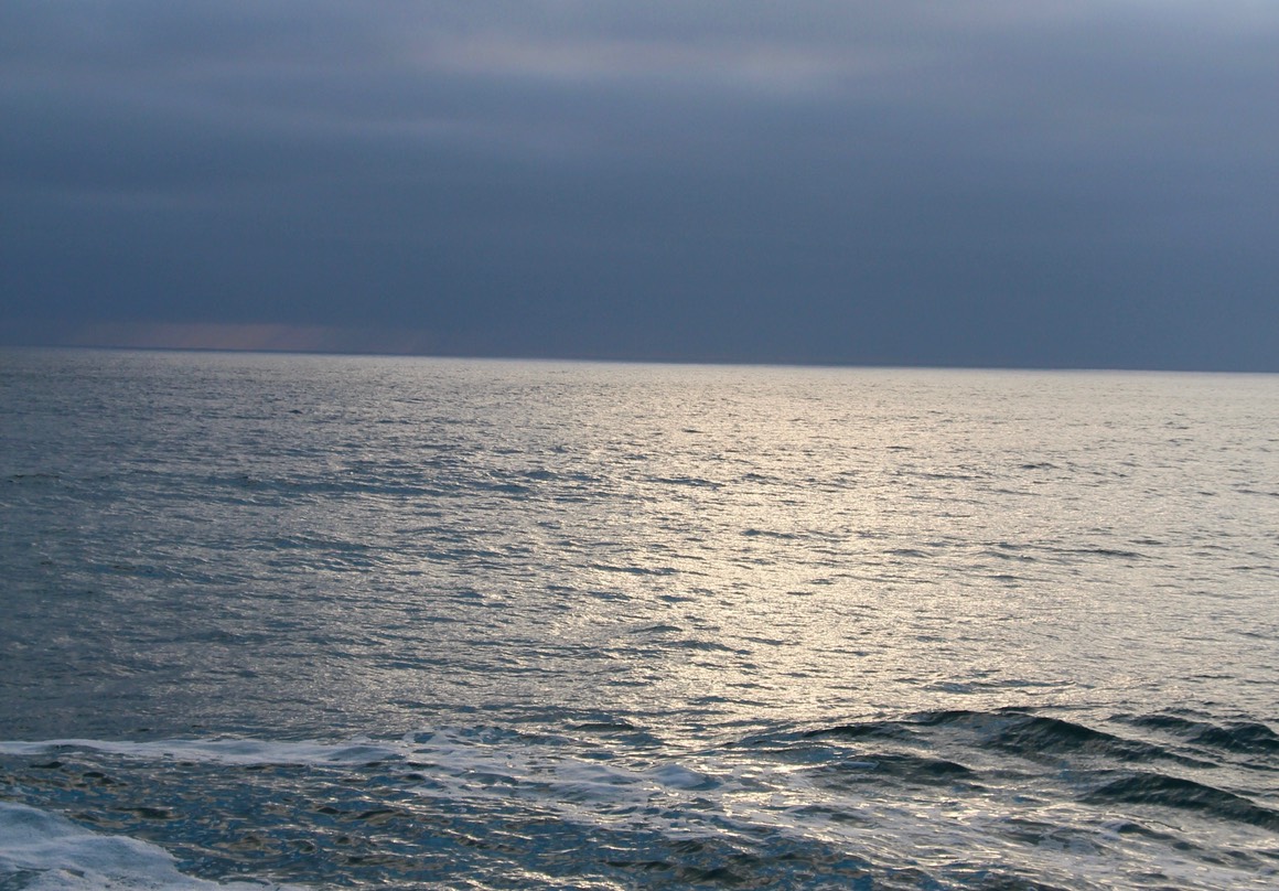 IMG_8238.jpg