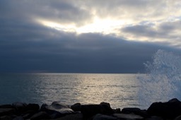 IMG_8246.jpg