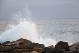 IMG_8247.jpg