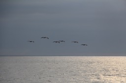 IMG_8261.jpg