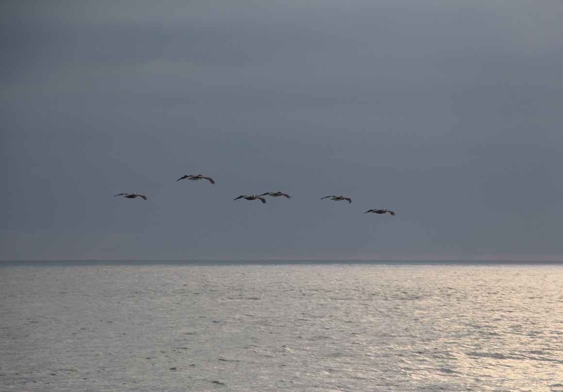 IMG_8261.jpg