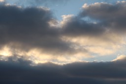IMG_8276.jpg
