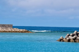 IMG_8290