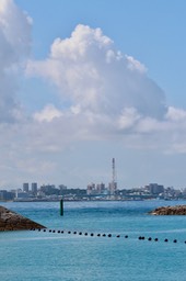 IMG_8291