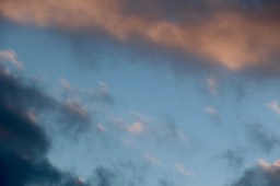 IMG_8305.jpg
