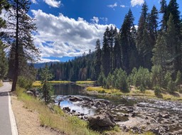 IMG_8546
