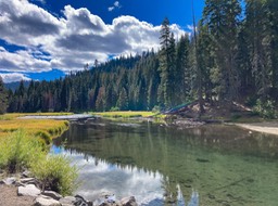 IMG_8551