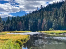 IMG_8552