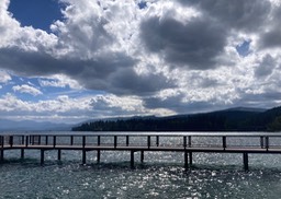 IMG_8553