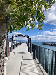 IMG_8554