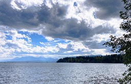 IMG_8556