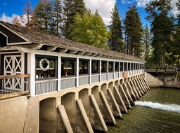 IMG_8561
