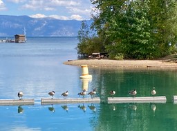 IMG_8563