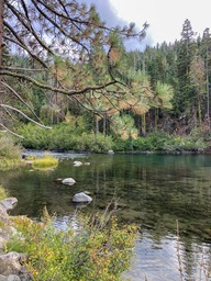 IMG_8569