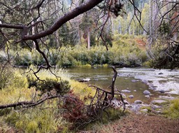 IMG_8587