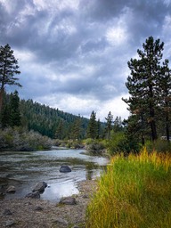 IMG_8589