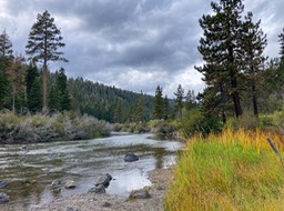 IMG_8590
