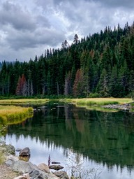 IMG_8593