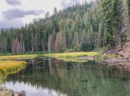 IMG_8594
